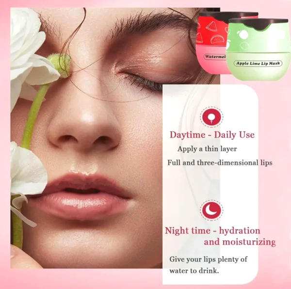 Honey Lip Moisturizer Jar, 4 Pcs Assorted Flavors