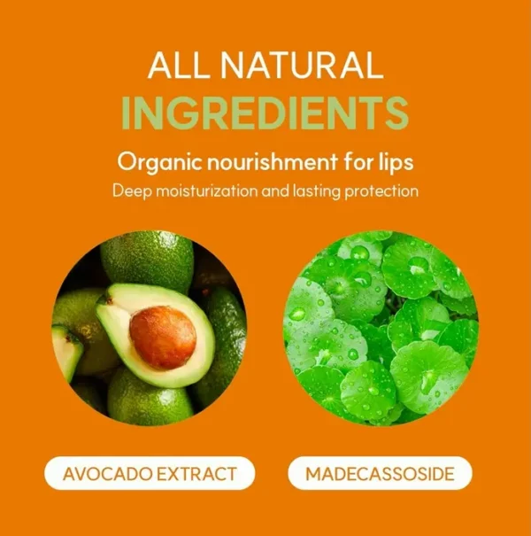 FRUDIA Avocado Cica Vegan Lip Balm | Moisturizing