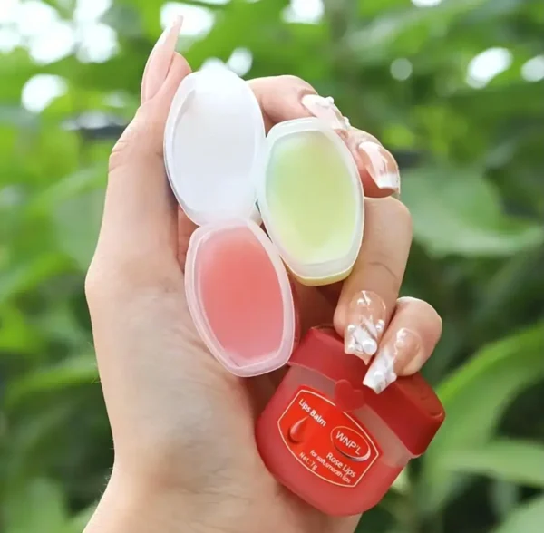 NJD Lip Balm Collection, Moisturizer Kit (6 PCS)