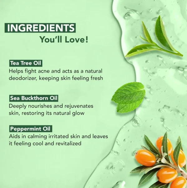 Botanic Tea Tree Body Wash, Eases Irritation, 2-Pack