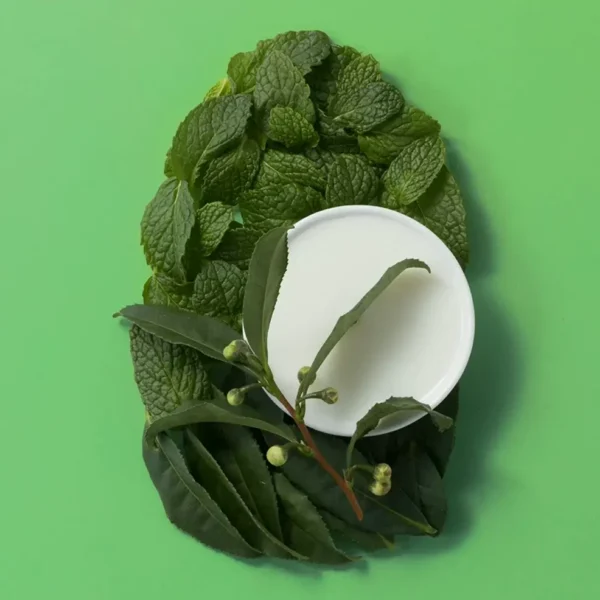 Invigorating Tea Tree Mint Dry Scalp Solution