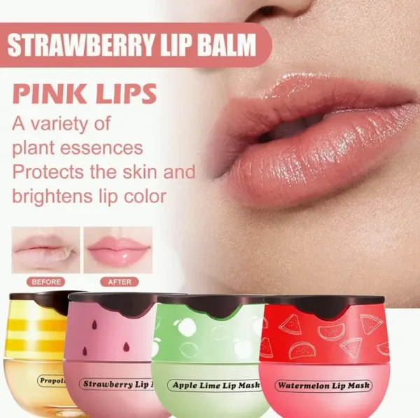 Honey Lip Moisturizer Jar, 4 Pcs Assorted Flavors